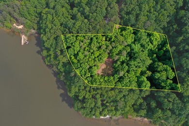 Lake Eufaula / Walter F. George Lot For Sale in Georgetown Georgia