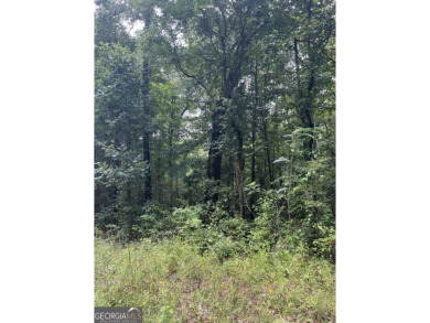 (private lake, pond, creek) Acreage For Sale in Covington Georgia