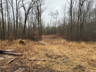 Lake Lot For Sale in Chetek, Wisconsin