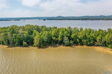 Lake Lot For Sale in Cedar Bluff, Alabama