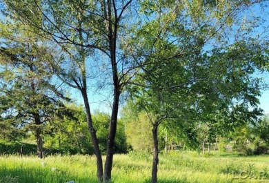 Lake Acreage For Sale in Onsted, Michigan