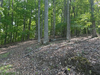 Deep Water Luxury & Mountain Vistas on 2.9 Acres in Cove - photo 12