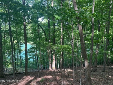 Deep Water Luxury & Mountain Vistas on 2.9 Acres in Cove - photo 13