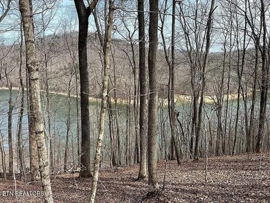 Deep Water Luxury & Mountain Vistas on 2.9 Acres in Cove - photo 14