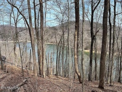 Deep Water Luxury & Mountain Vistas on 2.9 Acres in Cove - photo 15