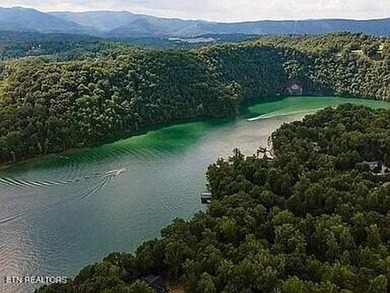 Deep Water Luxury & Mountain Vistas on 2.9 Acres in Cove - photo 17