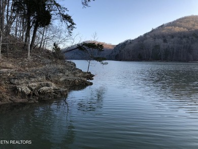 Deep Water Luxury & Mountain Vistas on 2.9 Acres in Cove - photo 18
