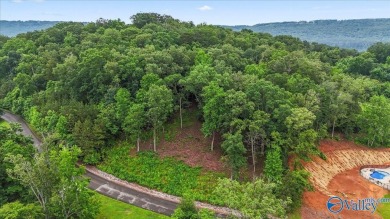 Lake Lot For Sale in Scottsboro, Alabama