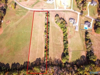 Lake Acreage For Sale in Rogersville, Alabama