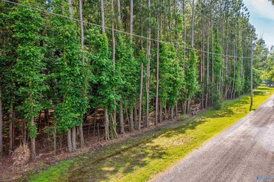 *NOW OPEN TO THE PUBLIC - NEW RECREATIONAL LOT!* Be among the - photo 7