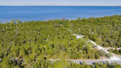 Discover an exceptional opportunity to own over 3 acres along - photo 2