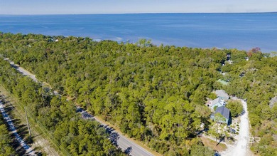 Discover an exceptional opportunity to own over 3 acres along - photo 4