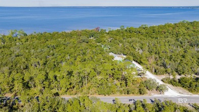 Discover an exceptional opportunity to own over 3 acres along - photo 5