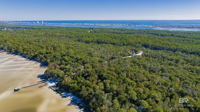 Discover an exceptional opportunity to own over 3 acres along - photo 10