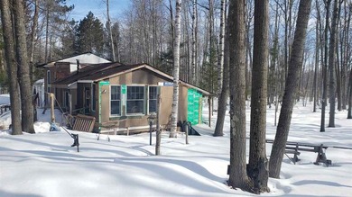 Escape to your own private retreat with this artistic cabin set - photo 11