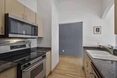 Priced $25,000 below the 2025 appraised value! Stylish 1 BR - photo 11