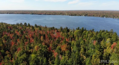 Lake Acreage For Sale in Lake Linden, Michigan