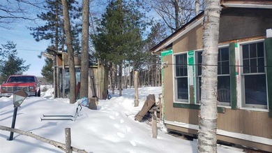 Escape to your own private retreat with this artistic cabin set - photo 14