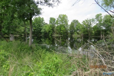 (private lake, pond, coastal) Acreage For Sale in Boaz Alabama
