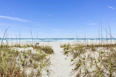 Income-Producing Gulf Shores beachfront retreat with the privacy - photo 3