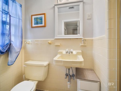 Imagine waking up each morning to dolphins and other wildlife - photo 20
