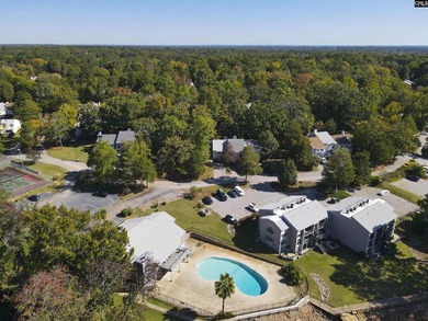 Priced to sell! Waterfront condo on Lake Murray with panoramic - photo 36