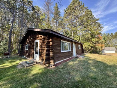Lake Home For Sale in Crystal Falls, Michigan