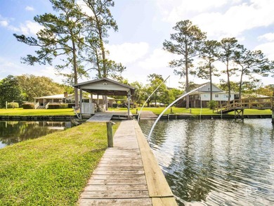 Imagine waking up each morning to dolphins and other wildlife - photo 45