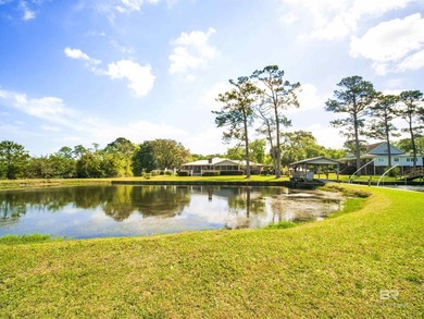 Imagine waking up each morning to dolphins and other wildlife - photo 47