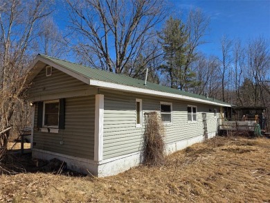 Lake Home For Sale in Sarona, Wisconsin
