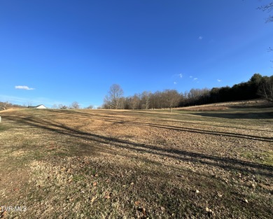 Boone Lake Lot For Sale in Piney Flats Tennessee