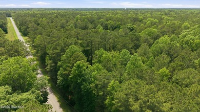 Build your dream home on this beautiful 2.22-acre homesite just - photo 11