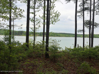 Gentle Sloping Lot With Big Views, Smith Lake - Lake Lot For Sale in Double Springs, Alabama