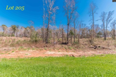 Lake Murray Lot For Sale in Prosperity South Carolina