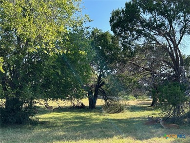 Stillhouse Hollow Lake Lot For Sale in Harker Heights Texas