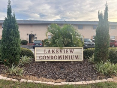 Lake Condo For Sale in Tavares, Florida