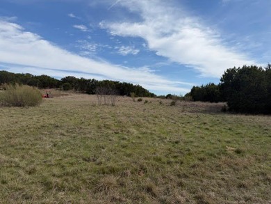 Private and secluded five acre lot backs up to a cattle ranch - photo 12