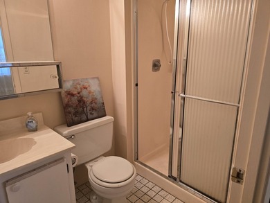 VILLA ON QUIET STREET, CONVERTIBLE FLOOR PLAN, WITH 2nd BEDROOM - photo 20