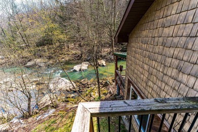 Tucked away in the mountains of West Virginia, this lovely - photo 28