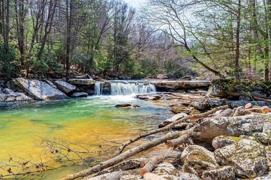 Tucked away in the mountains of West Virginia, this lovely - photo 29