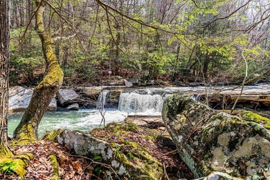 Tucked away in the mountains of West Virginia, this lovely - photo 36