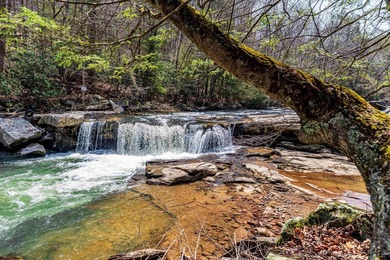 Tucked away in the mountains of West Virginia, this lovely - photo 37