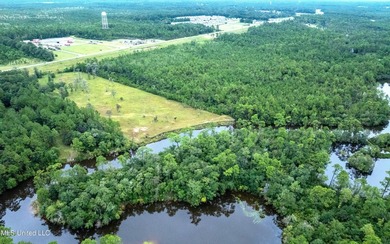 Prime Waterfront Commercial Development Opportunity Highway 57 - photo 4