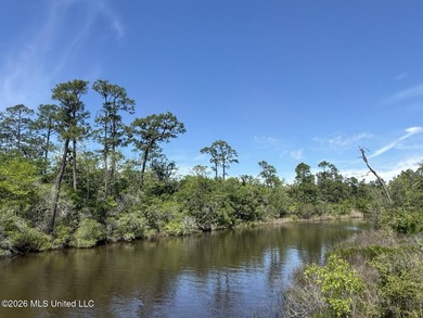 Prime Waterfront Commercial Development Opportunity Highway 57 - photo 5