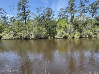 Prime Waterfront Commercial Development Opportunity Highway 57 - photo 6