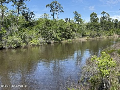 Prime Waterfront Commercial Development Opportunity Highway 57 - photo 7