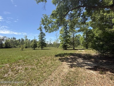 Prime Waterfront Commercial Development Opportunity Highway 57 - photo 9