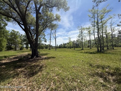 Prime Waterfront Commercial Development Opportunity Highway 57 - photo 10