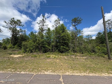 Blue Homestead Lake  Lot For Sale in Chipley Florida