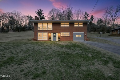 Patrick Henry Lake Home For Sale in Kingsport Tennessee